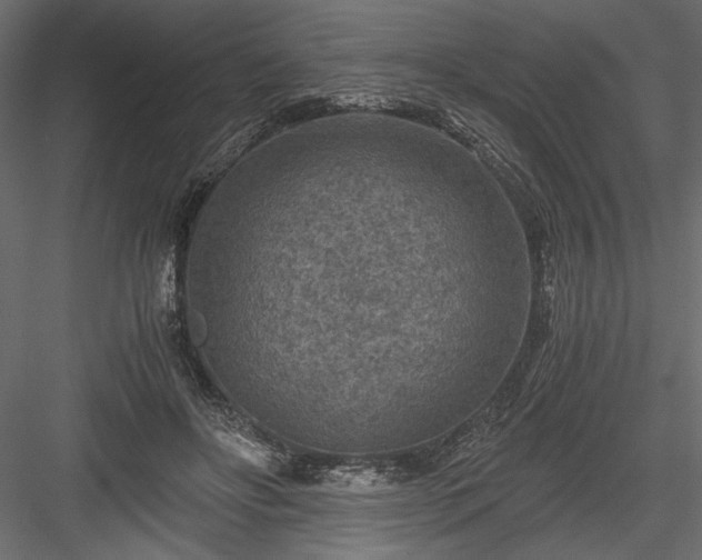 X0000084030502200702232302