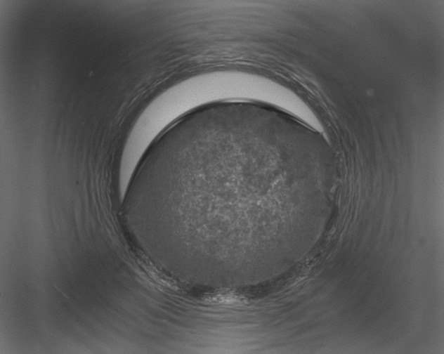 X0000084030503200702232302