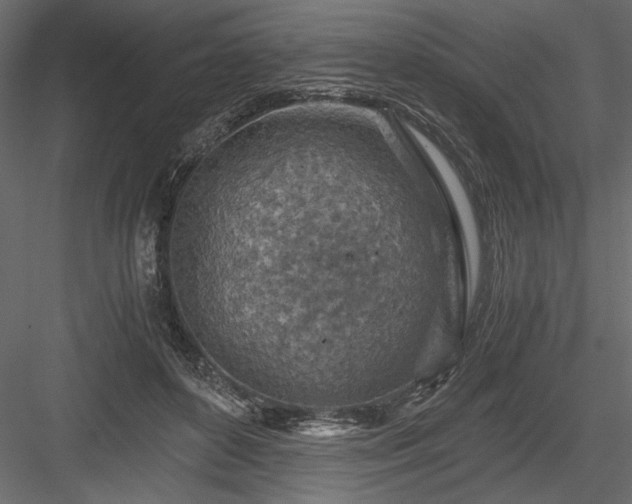 X0000084030504200702232302