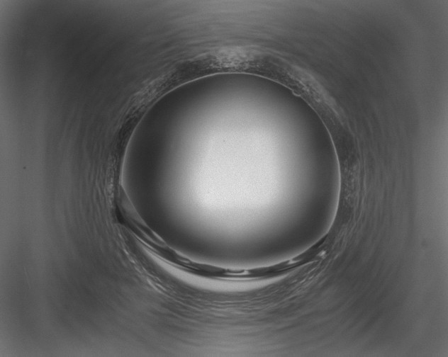 X0000084030505200702232302