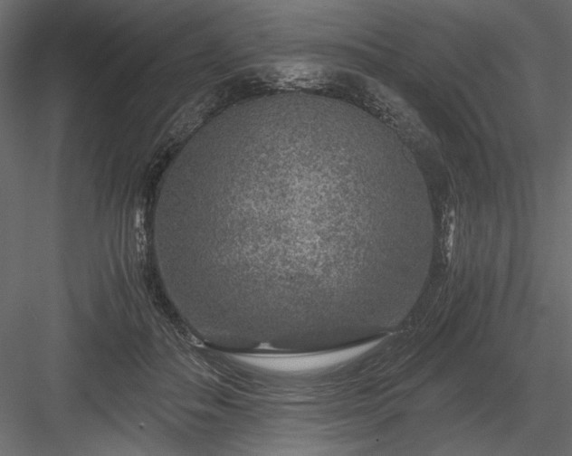 X0000084030506200702232302