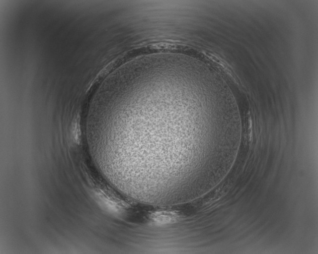 X0000084030508200702232302