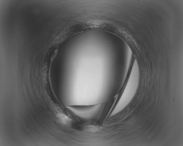 X0000084030509200702232302