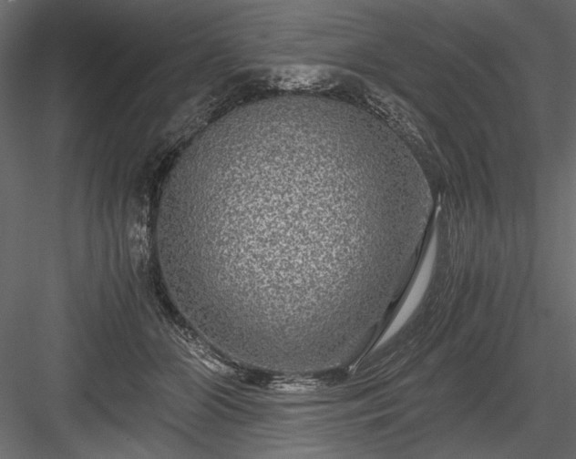 X0000084030510200702232302