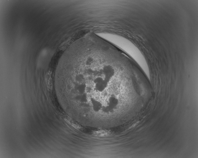 X0000084030511200702232302