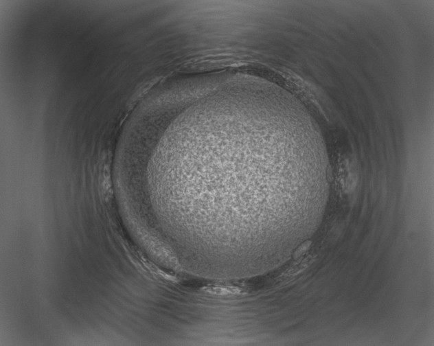 X0000084030512200702232302