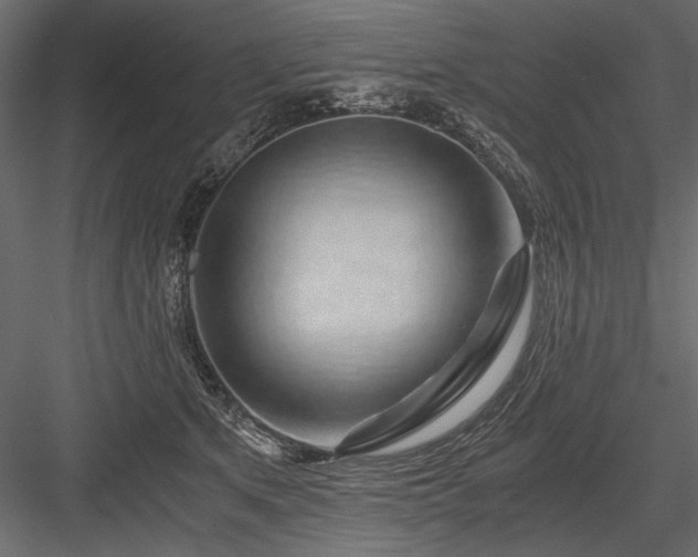 X0000084030513200702232302