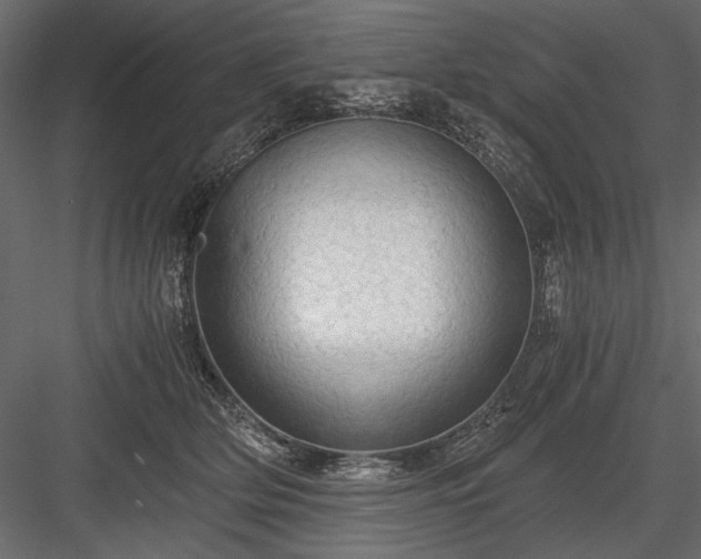 X0000084030514200702232302