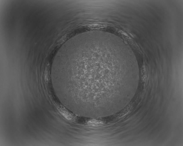 X0000084030515200702232302