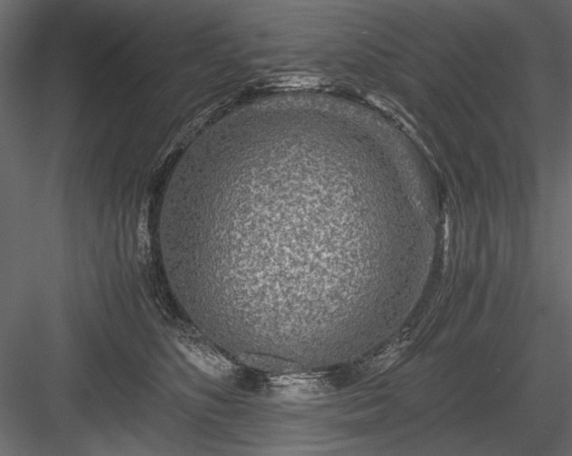 X0000084030516200702232302