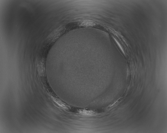 X0000084030517200702232302