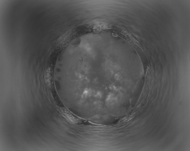 X0000084030519200702232302