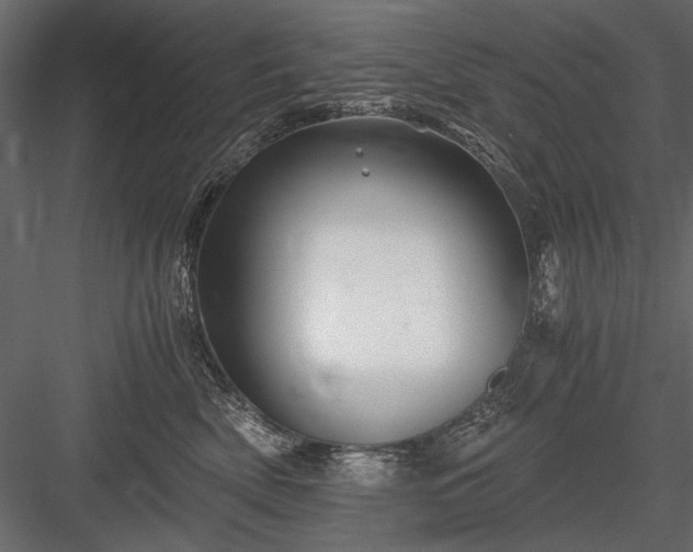 X0000084030522200702232301