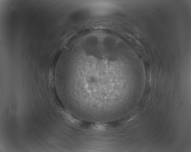 X0000084030523200702232301