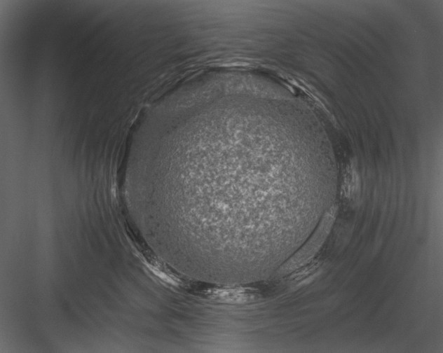 X0000084030524200702232301