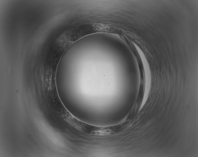 X0000084030525200702232301