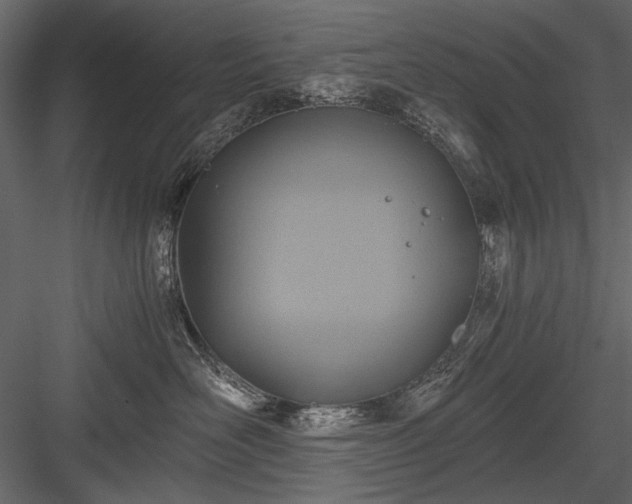 X0000084030526200702232301