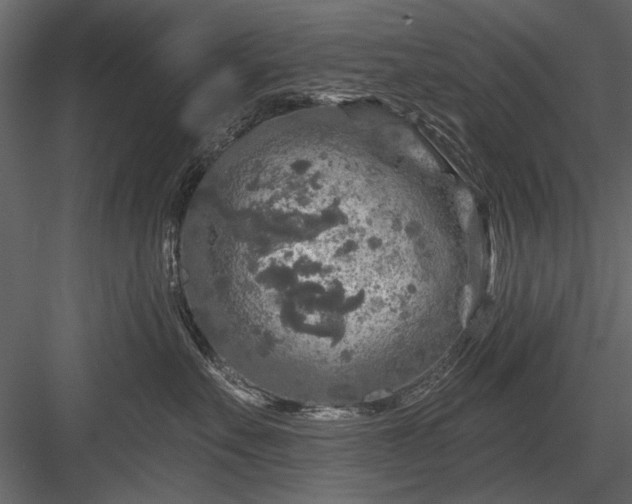 X0000084030527200702232301