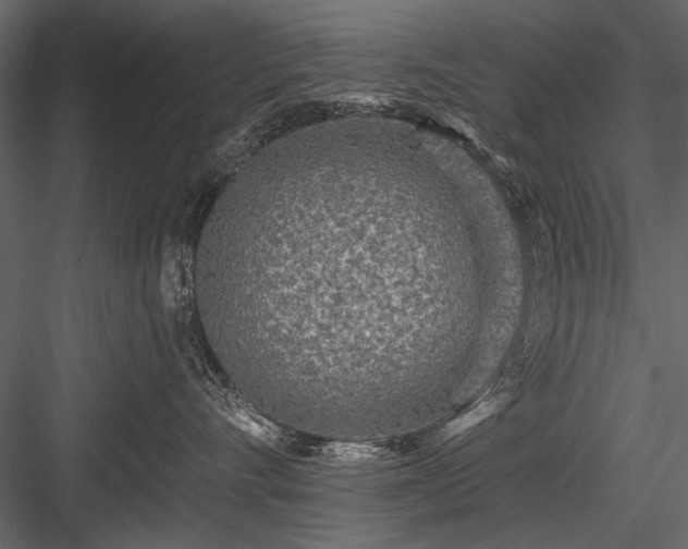 X0000084030528200702232301