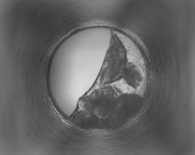 X0000084030529200702232301