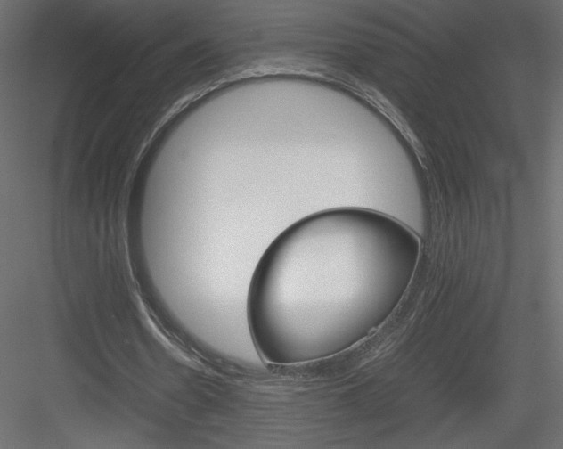 X0000084030530200702232301