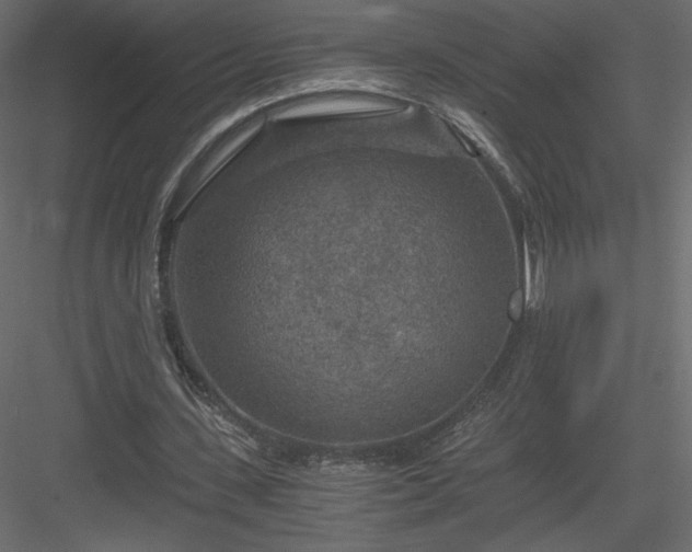 X0000084030531200702232301