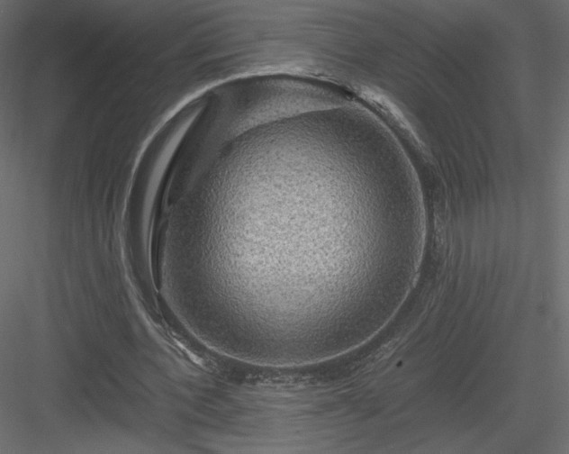 X0000084030532200702232301