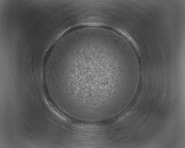 X0000084030533200702232301