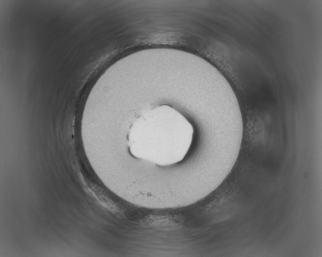 X0000084030534200702232301