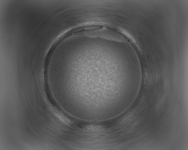 X0000084030535200702232301