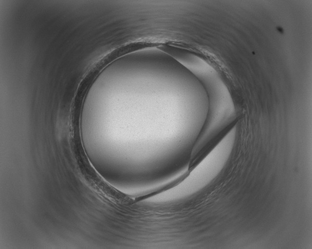 X0000084030536200702232301