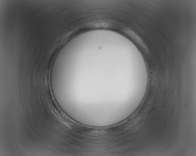 X0000084030537200702232301