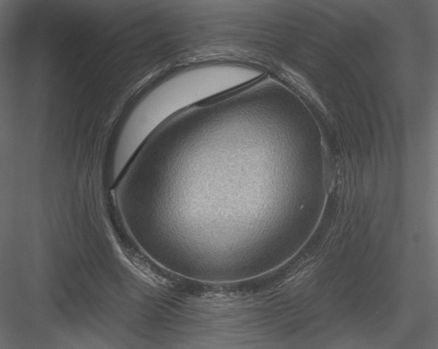 X0000084030538200702232301