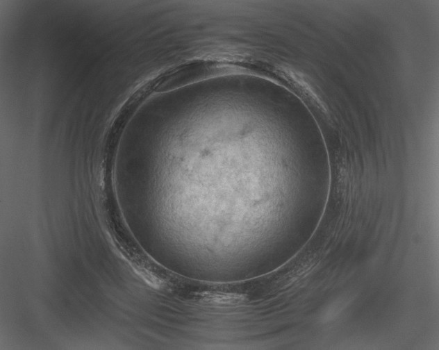 X0000084030539200702232301