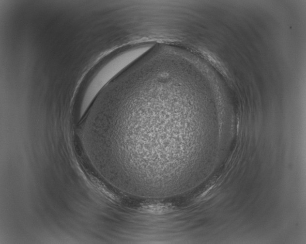 X0000084030540200702232301