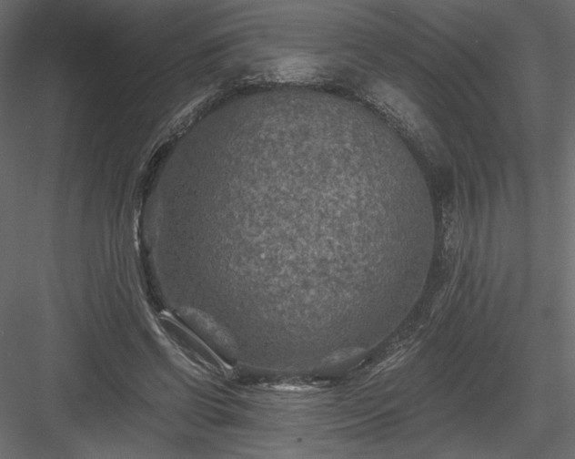 X0000084030542200702232301