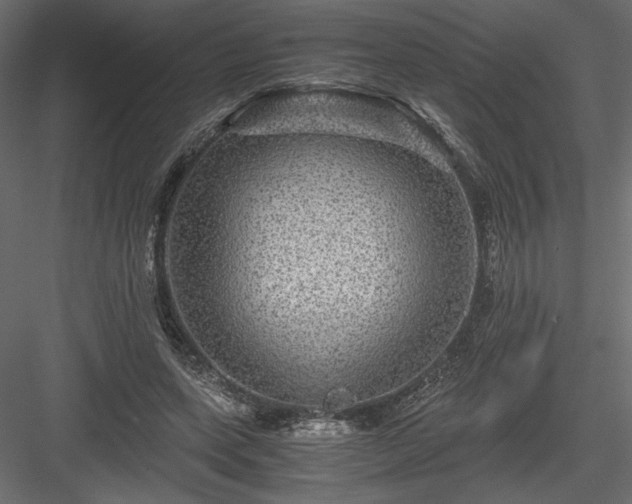 X0000084030543200702232301