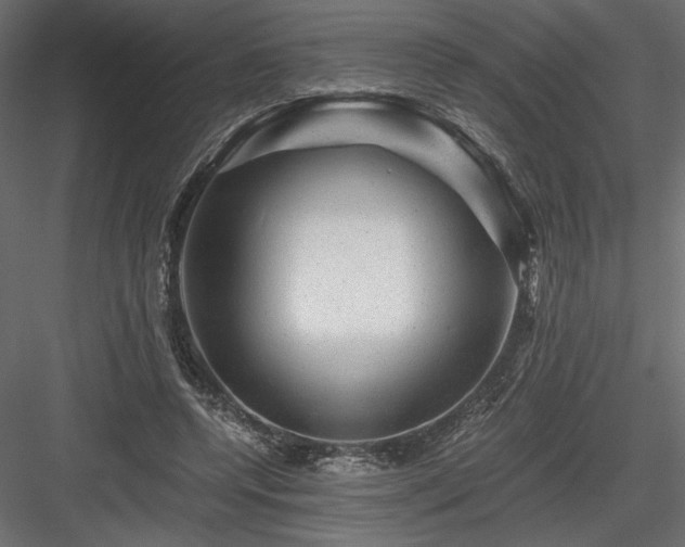 X0000084030544200702232301