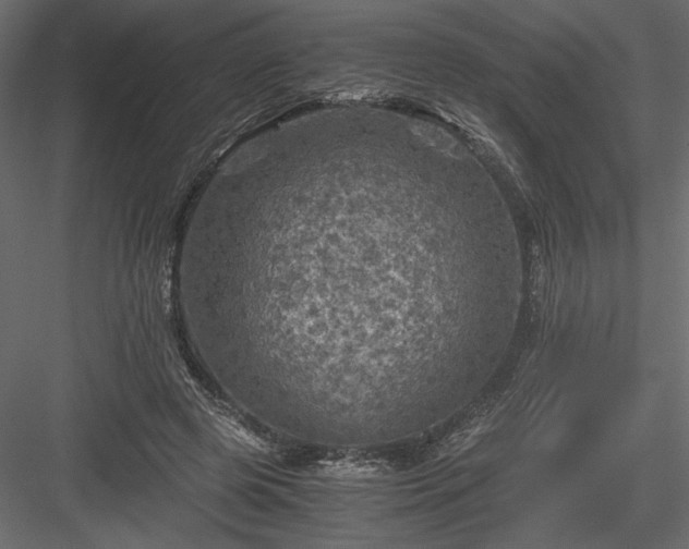 X0000084030545200702232301