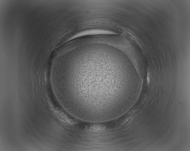 X0000084030546200702232301