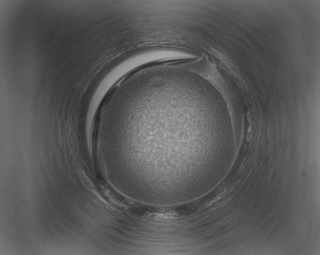 X0000084030548200702232301