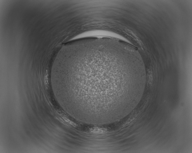 X0000084030549200702232301