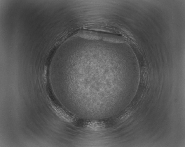 X0000084030550200702232301