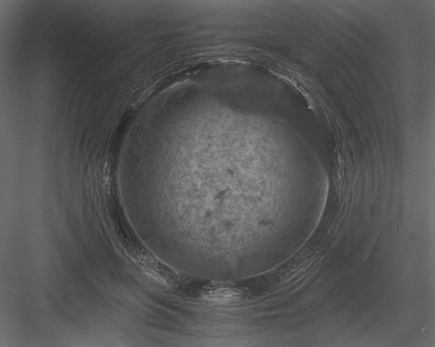 X0000084030551200702232301