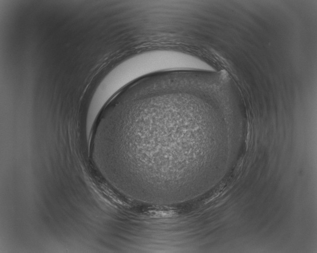 X0000084030552200702232301