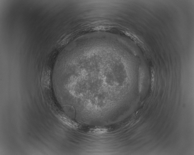 X0000084030554200702232301