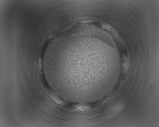 X0000084030555200702232301