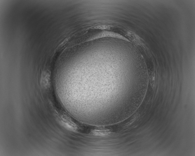 X0000084030556200702232301