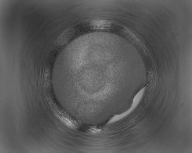 X0000084030557200702232301