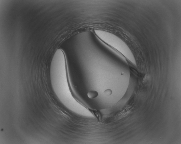 X0000084030558200702232301